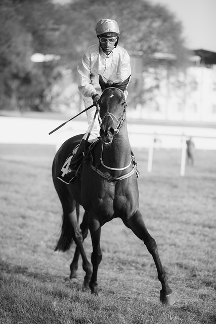 Trusted horse racing betting sites Australia