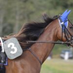 Unleash Your Betting Power: Australia’s Horse Racing Goldmine