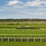 Uncover Australia’s Top Horse Racing Bets: Trusted Sites Guide