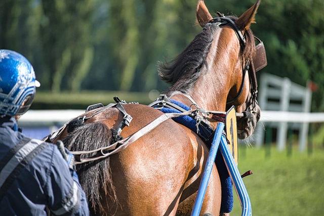 Trusted horse racing betting sites Australia