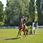 Unleash Winnings: Top Sites for High Odds Horse Racing Australia