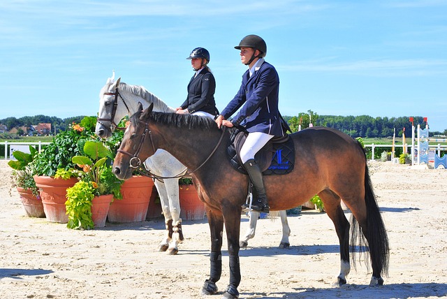 Trusted horse racing betting sites Australia