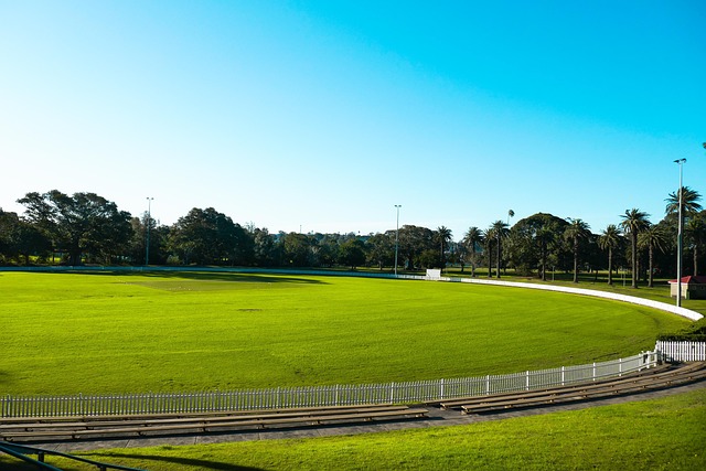 Trusted sports betting platforms for Aussies