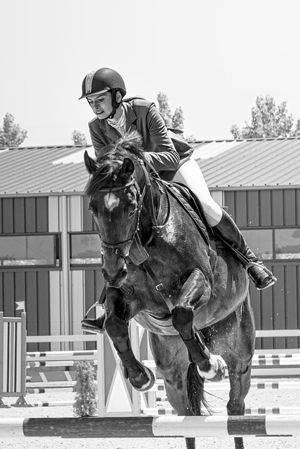 Best odds for horse racing betting Australia