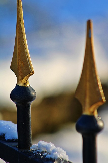 Best sports betting tips for AFL season