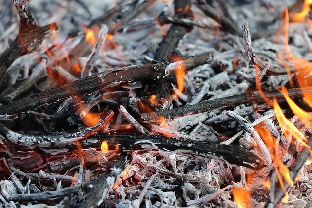 High payout tennis betting sites Australia