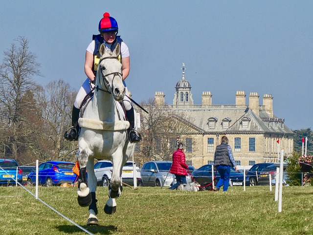 Popular Australian sports events for betting