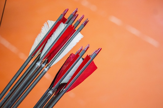 Popular sports betting games for Australians