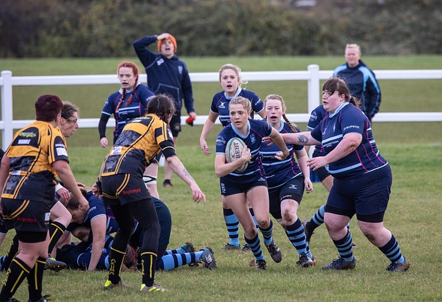 Trusted Australian betting platforms for rugby